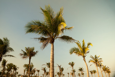 Similar image 10940836