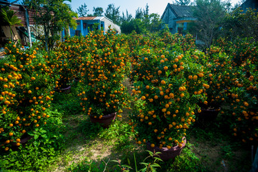 Similar image 10940881