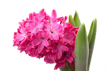 Similar image 10940646