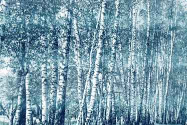 Similar image 10940656