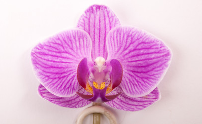 Similar image 10940714