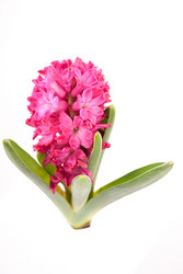 Similar image 10940715