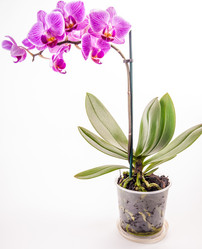 Similar image 10940694