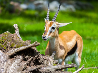 Similar image 10939331