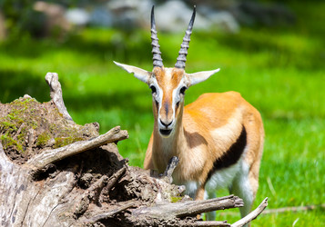 Similar image 10939368