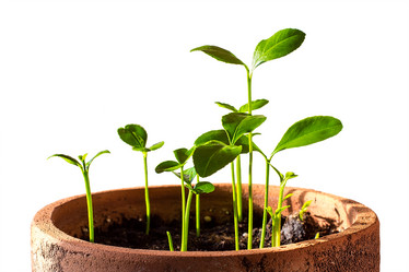 Similar image 10954887