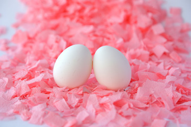 Similar image 10943960