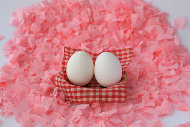 Similar image 10943961