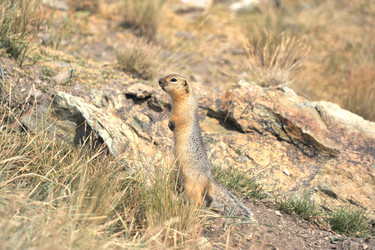 Similar image 10940523