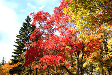 Similar image 10940524