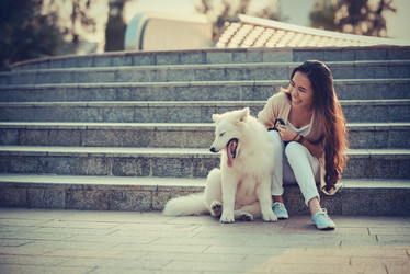 Similar image 10940019