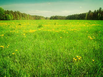 Similar image 10944175