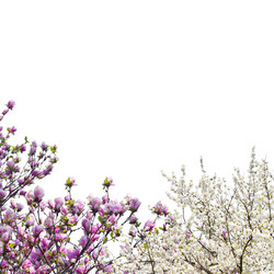 Similar image 10944205