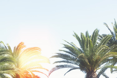 Similar image 10944226