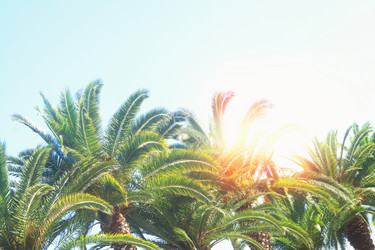 Similar image 10944227