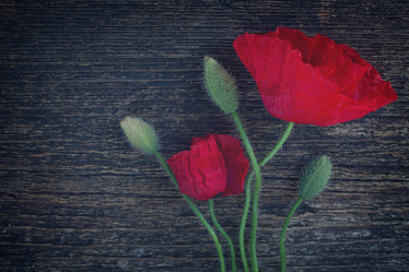 Similar image 10944231