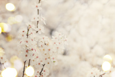 Similar image 10944232