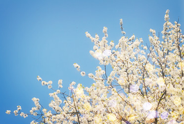 Similar image 10944248