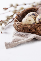 Similar image 10943969