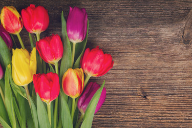 Similar image 10944215