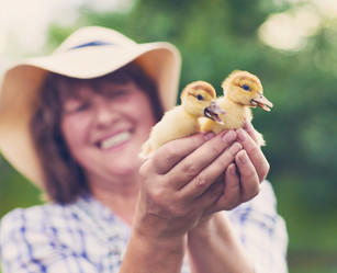 Similar image 10942613