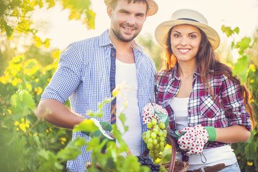 Similar image 10942617