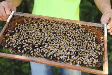 Similar image 10942618