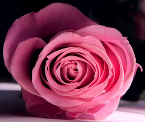 Similar image 10941556