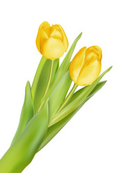 Similar image 10950117