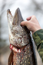 Similar image 10941986