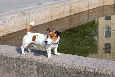 Similar image 10941988