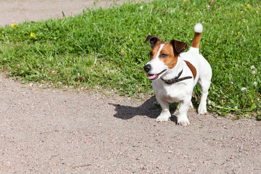 Similar image 10941991