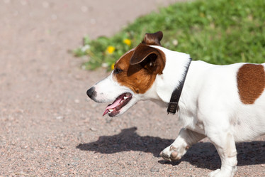 Similar image 10941992