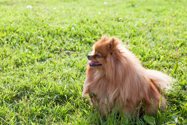 Similar image 10941994