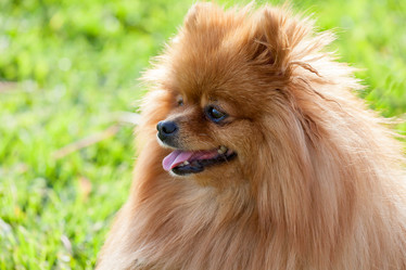 Similar image 10941995