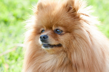 Similar image 10941996