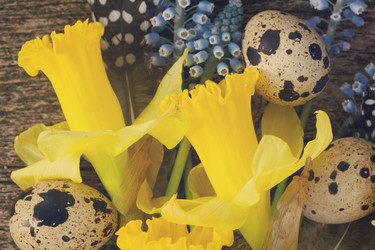 Similar image 10944196