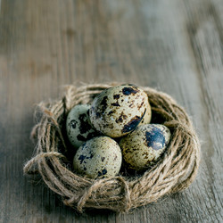 Similar image 10942466