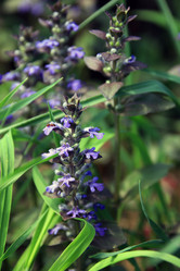 Similar image 10942284