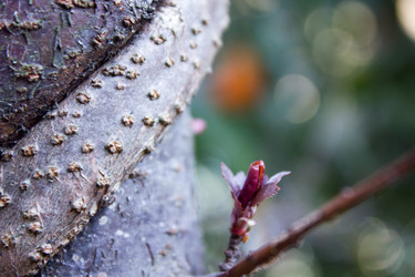 Similar image 10943615