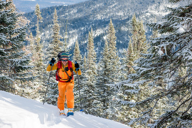 Similar image 10945030