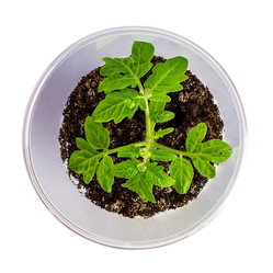 Similar image 10954889