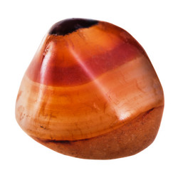 Similar image 10946869