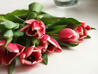 Similar image 10943175