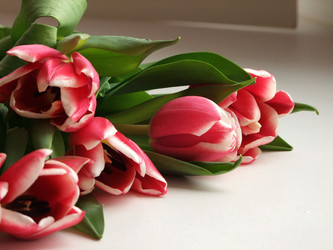 Similar image 10943176