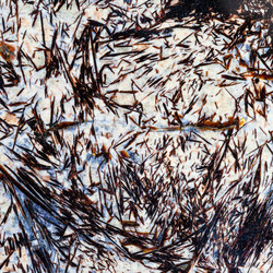 Similar image 10946613