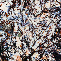 Similar image 10946620