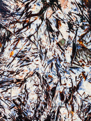 Similar image 10946624