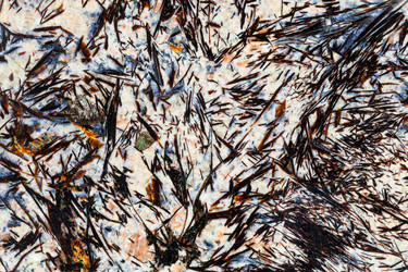 Similar image 10946628