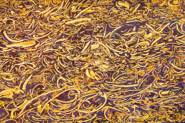 Similar image 10946630